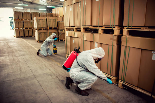 Best Termite Control Services  in Cortland, IL