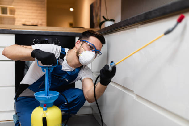 Best Affordable Pest Control Services  in Cortland, IL