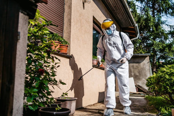 Best Best Pest Control Companies  in Cortland, IL