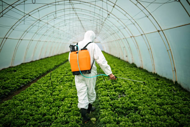 Professional Pest Control in Cortland, IL