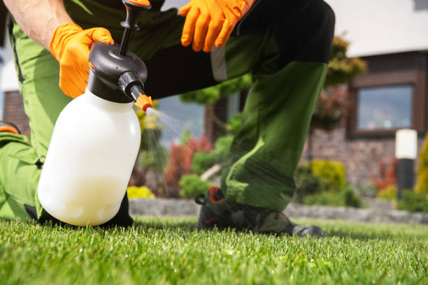 Trusted Cortland, IL Pest Control Experts