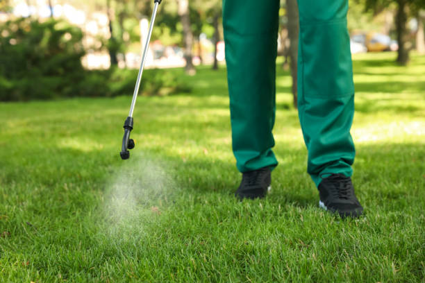 Best Pest Control Near Me  in Cortland, IL