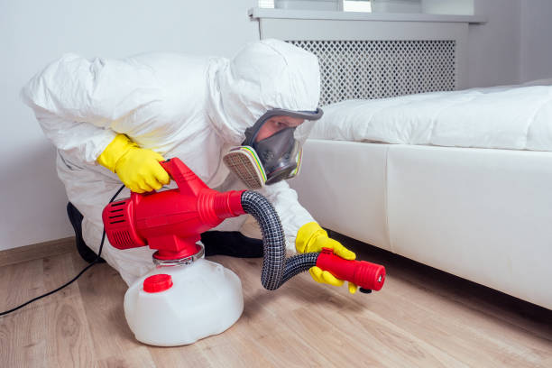 Best Flea Control Services  in Cortland, IL