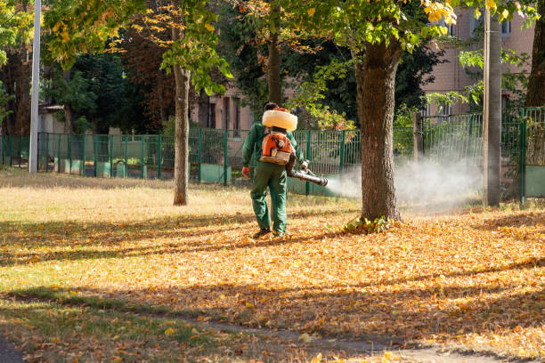 Best Wildlife Control Services  in Cortland, IL