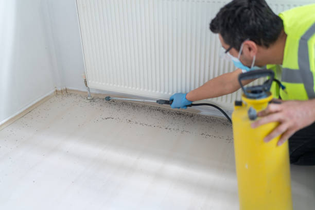 Pest Control Cost in Cortland, IL