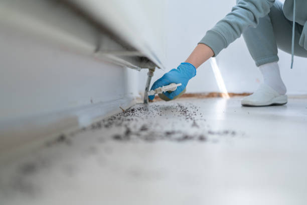 Best Wasp Removal Services  in Cortland, IL