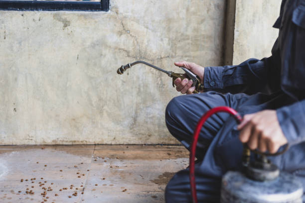 Best Pest Removal Services  in Cortland, IL