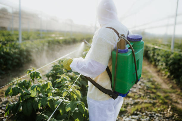 Best Best Pest Control Companies  in Cortland, IL